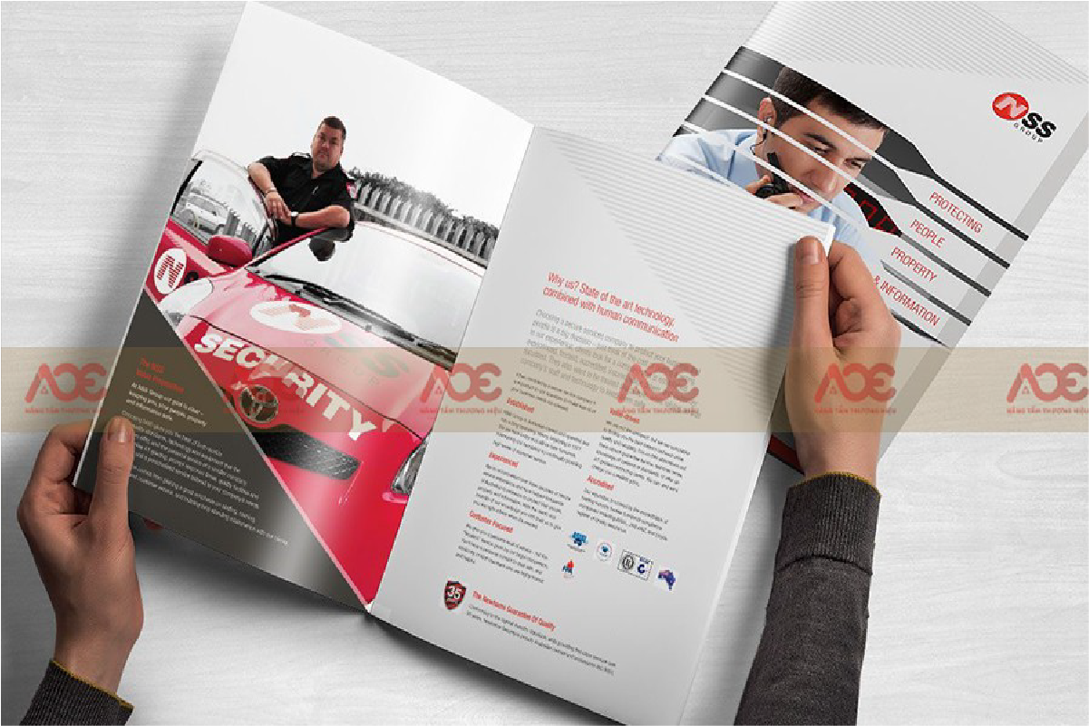 In catalogue là gì?