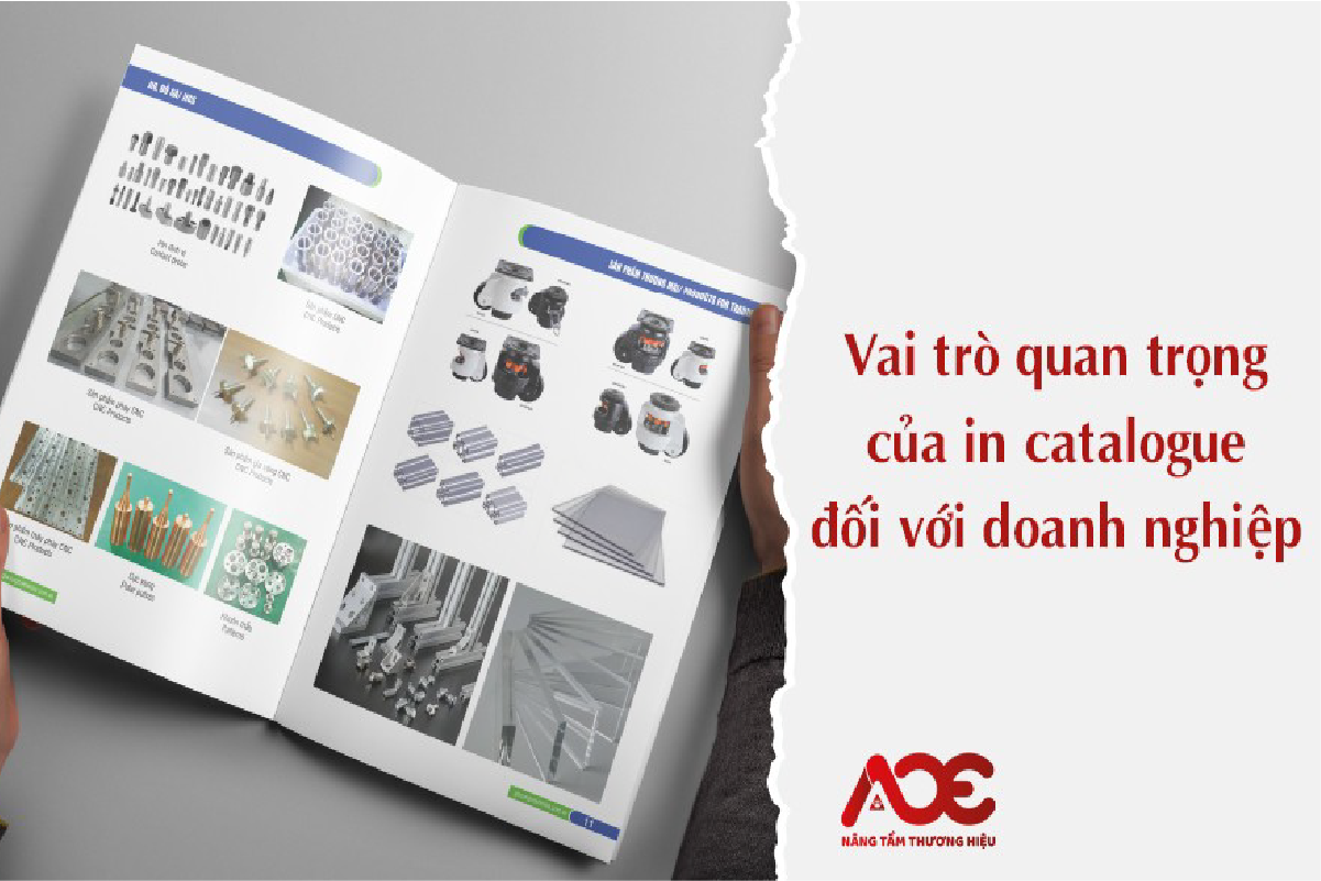 Vai trò quan trọng của in catalogue đối với doanh nghiệp