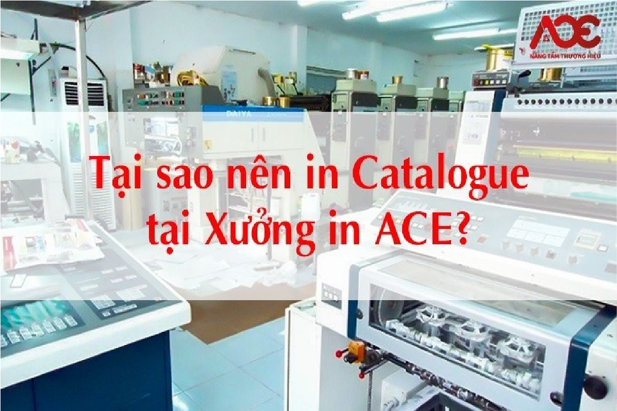 In ấn ACE - địa chỉ in catalogue, in nhanh catalogue giá rẻ tại Hà Nội