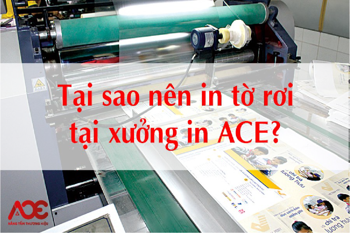 Tại sao nên chọn In ấn ACE để in tờ rơi giá rẻ, in tờ rơi theo yêu cầu tại Hà Nội