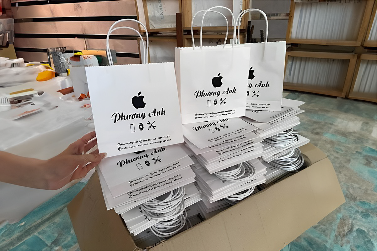 Túi giấy in logo tạo sự chuyên nghiệp cho đơn vị