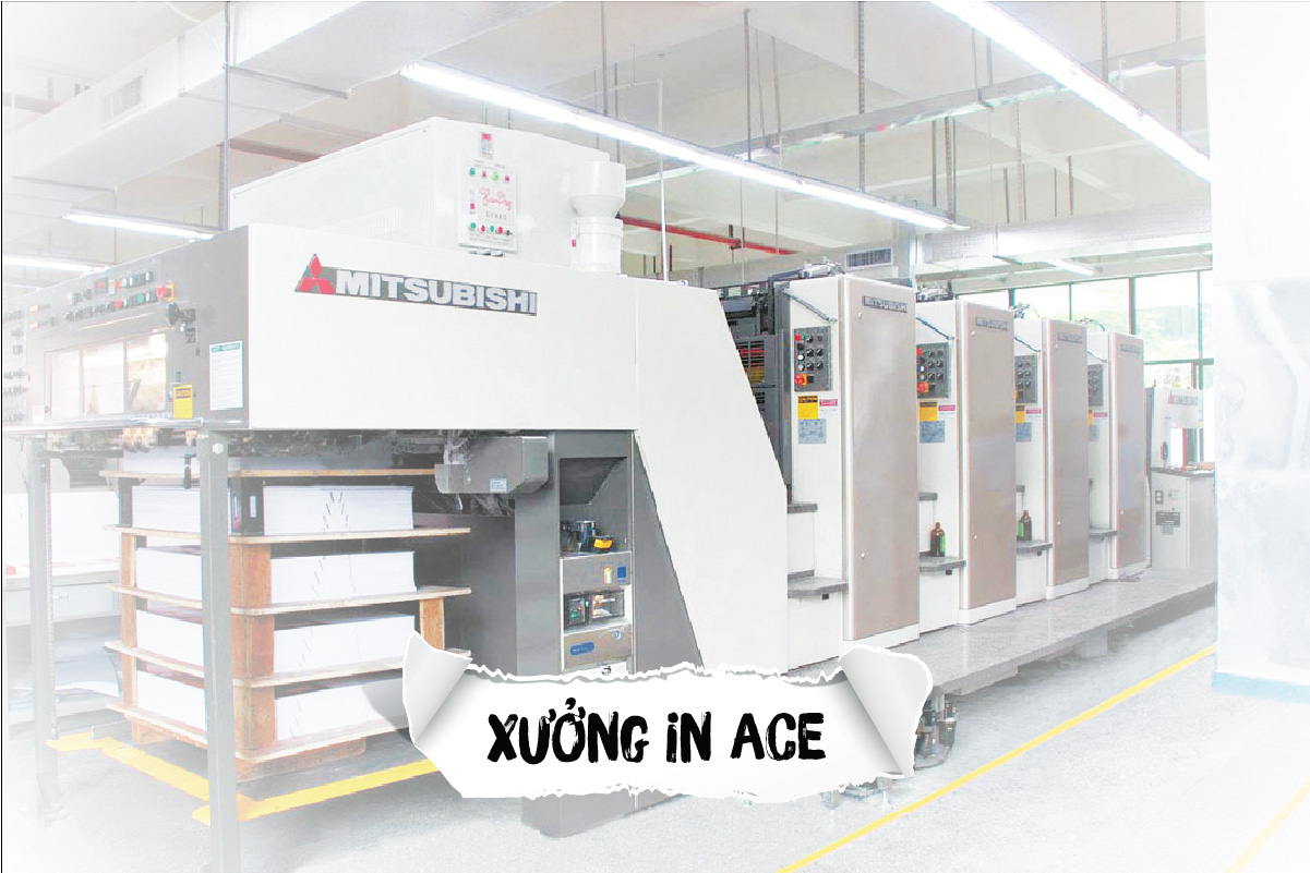 Công ty in ấn ACE chuyên in ấn các sản phẩm từ giấy