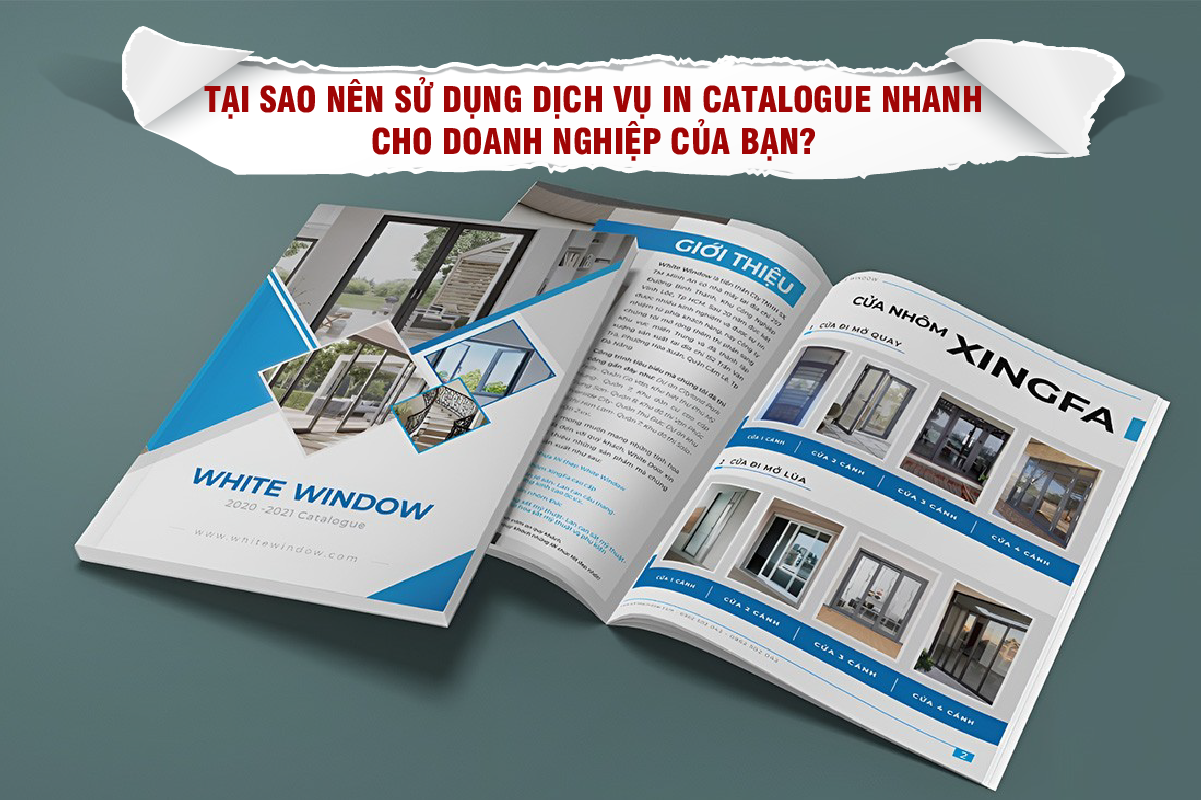 Tại sao nên sử dụng dịch vụ in catalogue nhanh cho doanh nghiệp của bạn