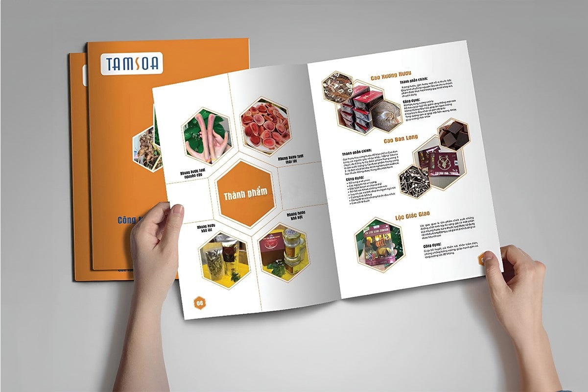 Chất liệu giấy in catalogue số lượng ít