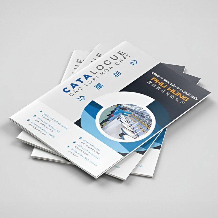In catalogue giá rẻ 204 lượt xem
