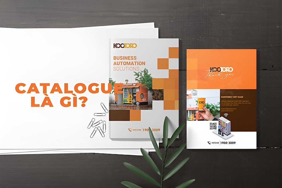 In catalogue giá rẻ