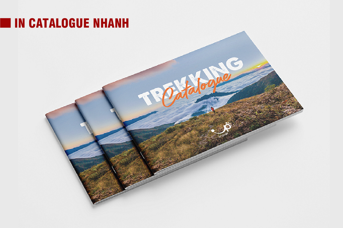 In catalogue nhanh