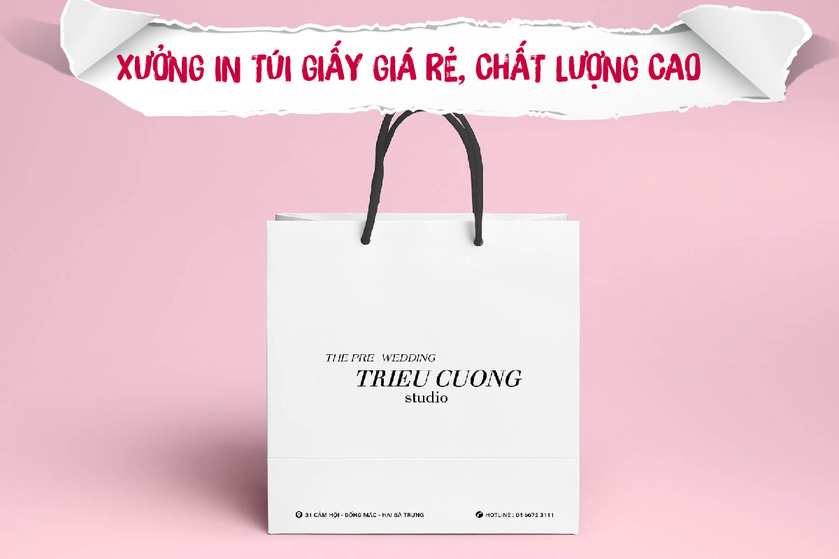 Xưởng in túi giấy giá rẻ, chất lượng cao ở đâu