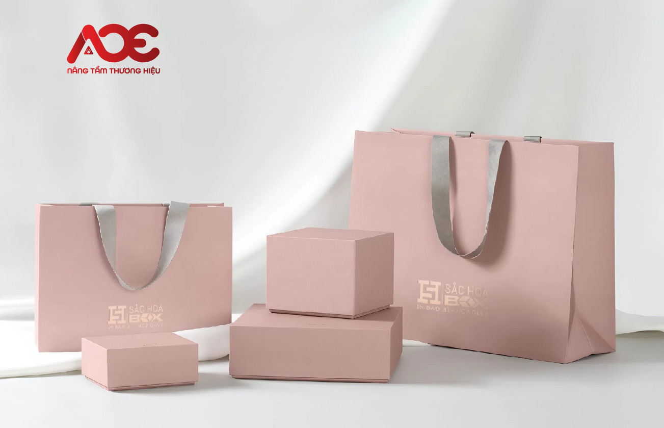 Mẫu thiết kế túi giấy đẹp - Túi giấy dạng hộp