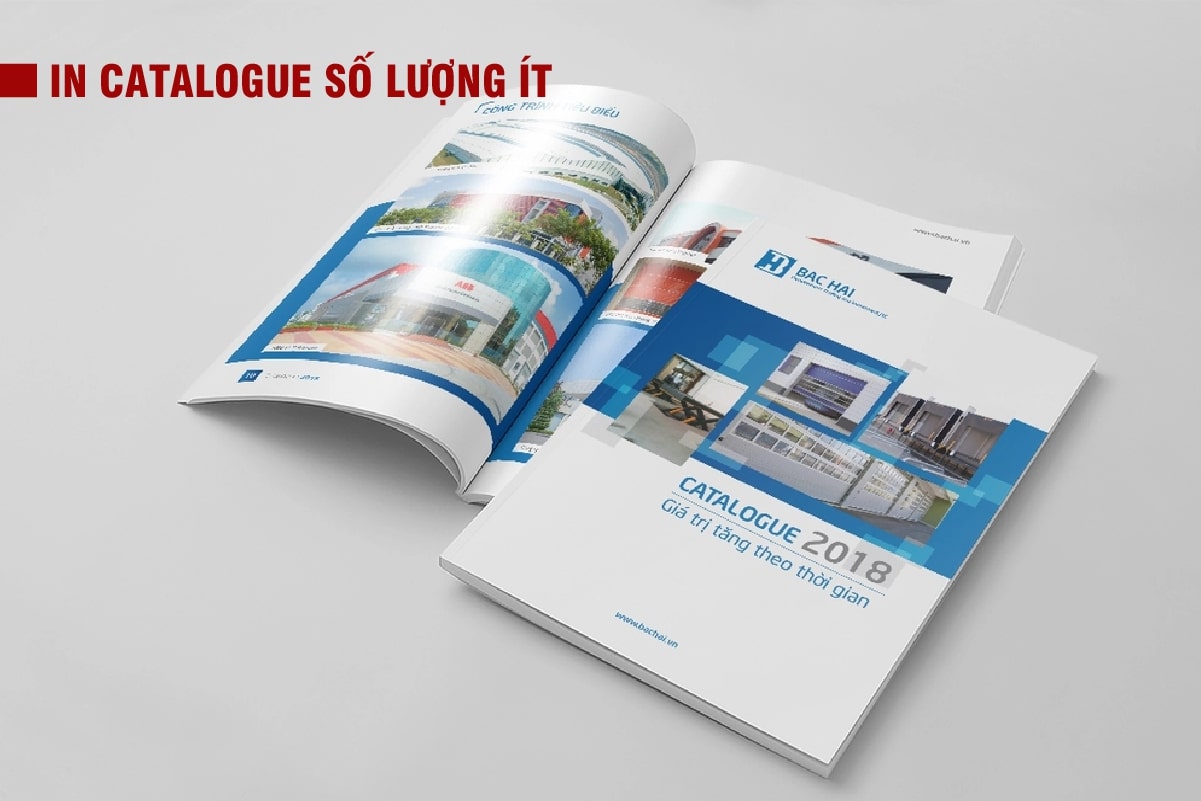 In catalogue số lượng ít