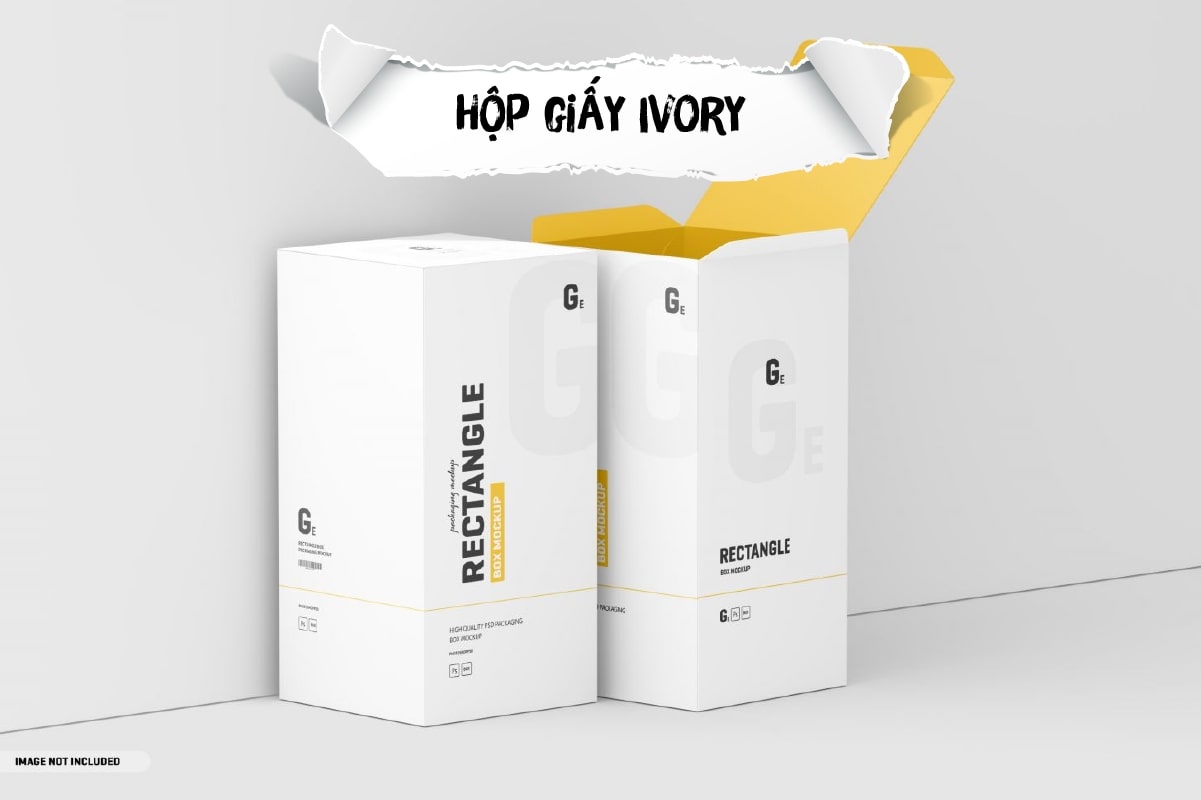 Mẫu hộp giấy Ivory