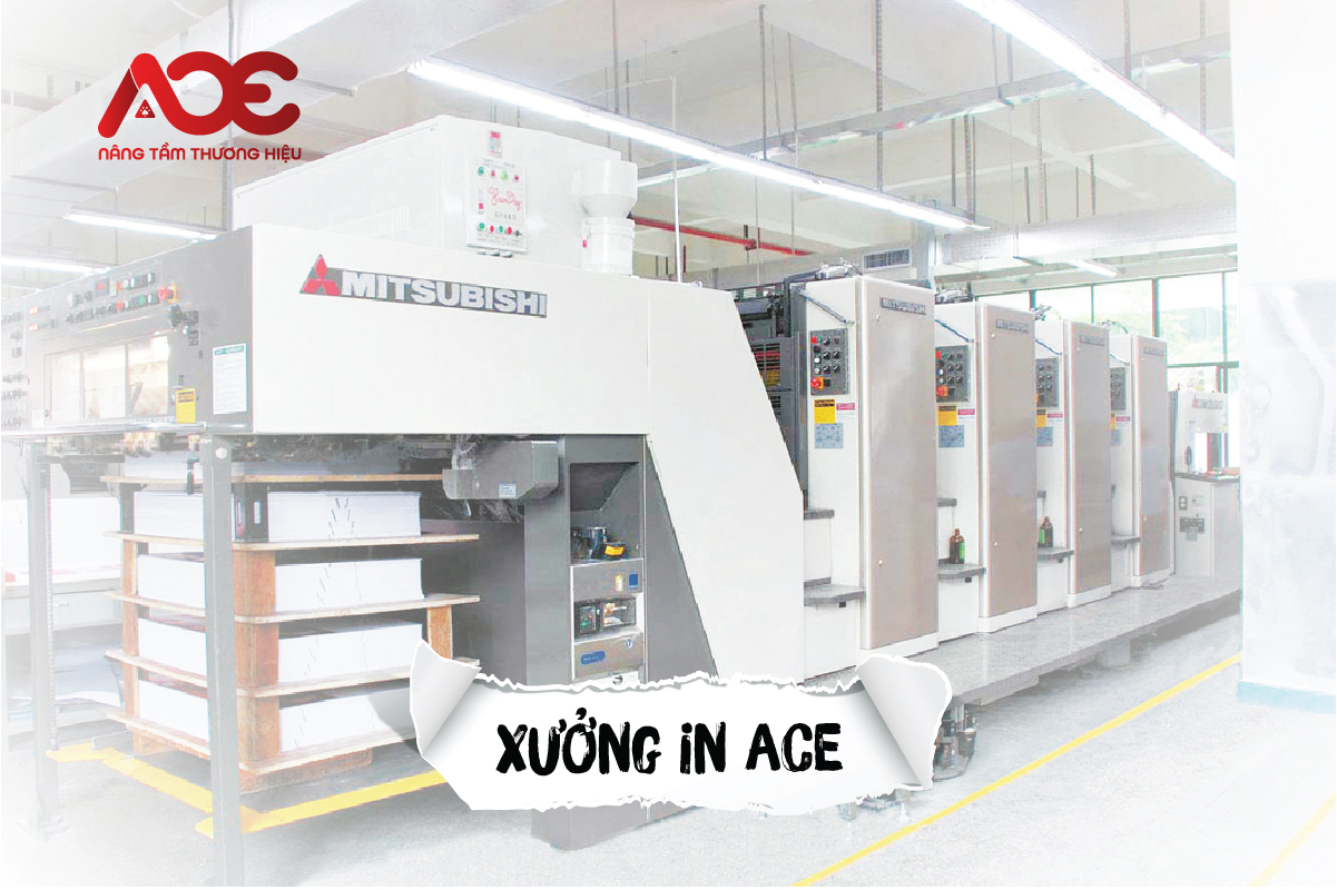 In ấn ACE – Công ty in bao bì hộp giấy nhận thiết kế theo yêu cầu, số lượng linh hoạt