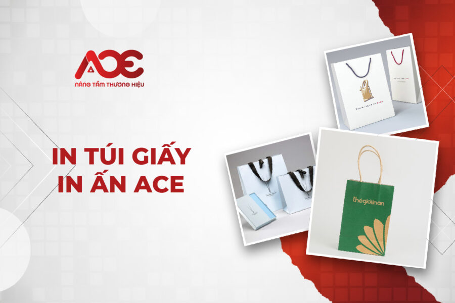IN TÚI GIẤY IN ẤN ACE-01