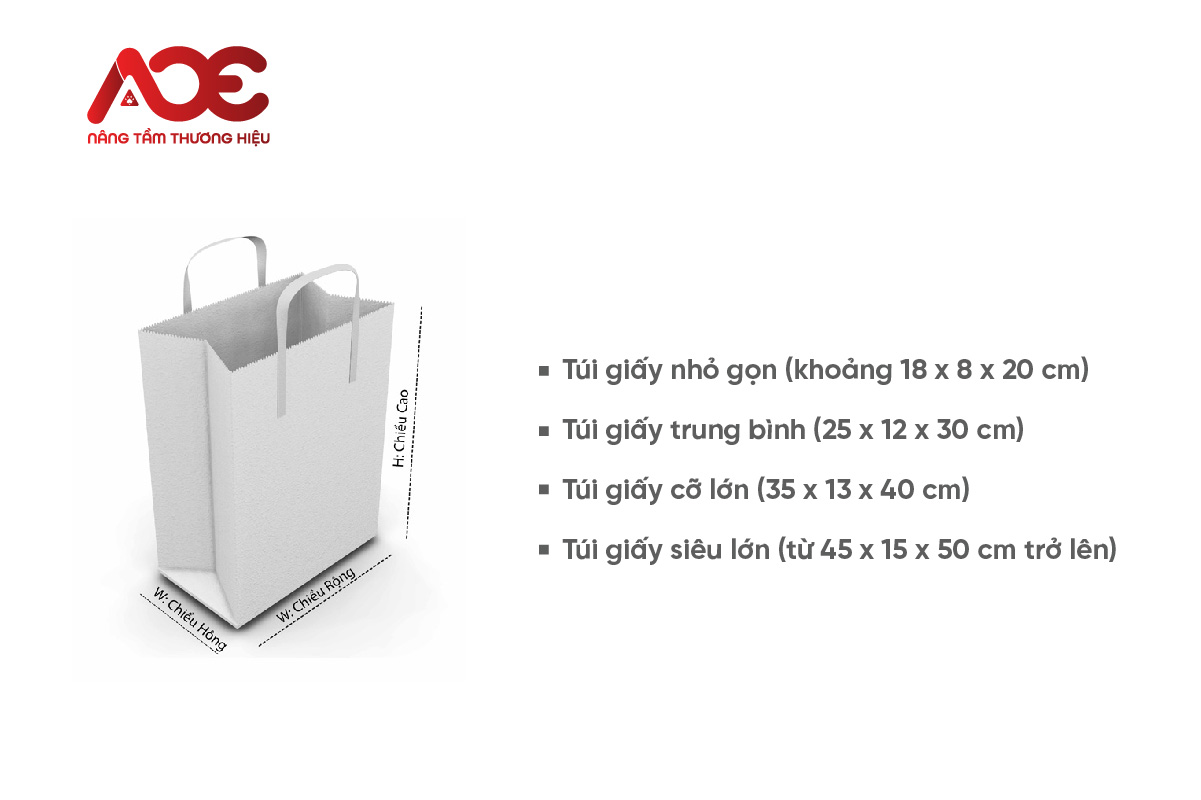 IN TÚI GIẤY IN ẤN ACE-04
